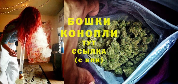 твердый Богородск