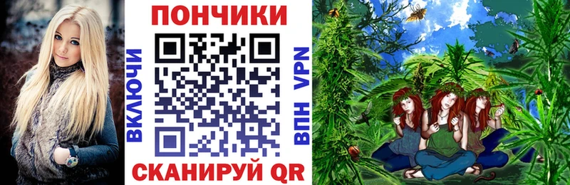 OMG как войти  что такое   Краснообск  Шишки марихуана Bruce Banner 